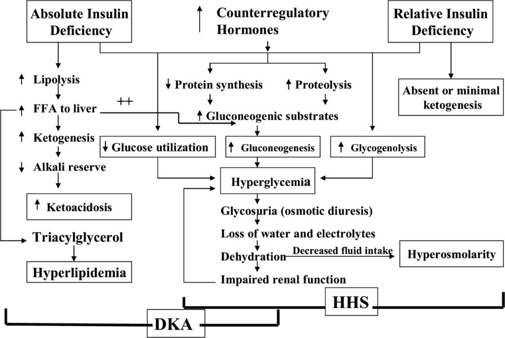 DKA｜medmap
